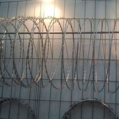 浩荣 刀片刺网 刀片刺绳 滚刀网 刀片网 实体工厂 现货供应图片_高清图_细节图-安平县浩荣金属丝网制品 -