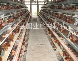 供应5层鸡笼子 安平县鹏业丝网制品厂 蛋鸡笼,肉鸡笼,鸽子笼,兔子笼,网格布 钢板网