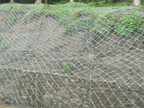 安平县腾捷金属丝网制品厂 专业金属丝网制品领域的卓越之选