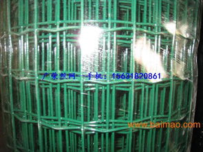 河南叶县、新乡、焦作荷兰网 生产厂家与价格指南